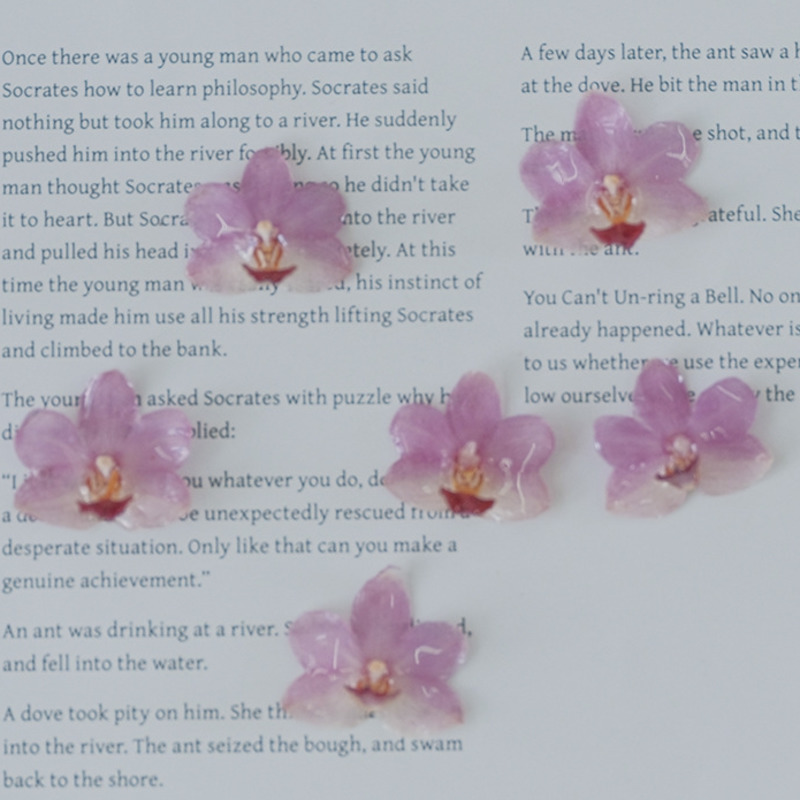 Jewelry Making Event - DIY Jewelry Natural Pink Resin Orchid