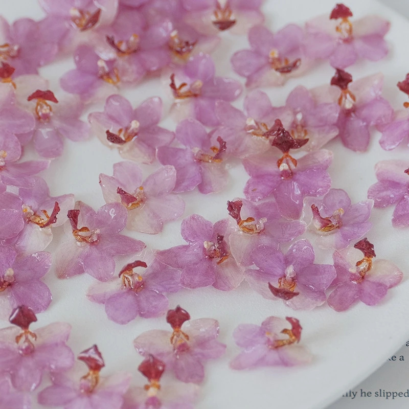Natural Pink Resin Orchid DIY  - Jewelry Making Event 评论和价格