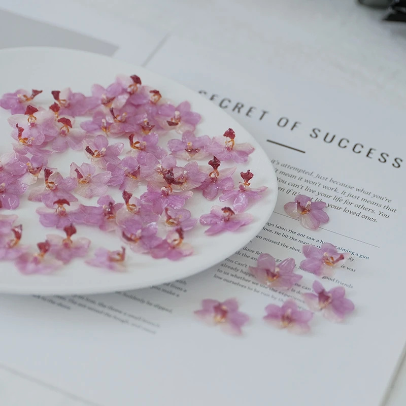Natural Pink Resin Orchid DIY  - Jewelry Making Event 评论和价格